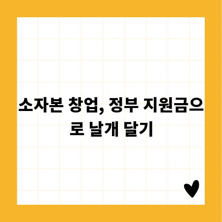 소자본 창업, 정부 지원금으로 날개 달기