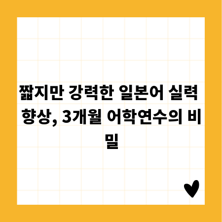 짧지만 강력한 일본어 실력 향상, 3개월 어학연수의 비밀