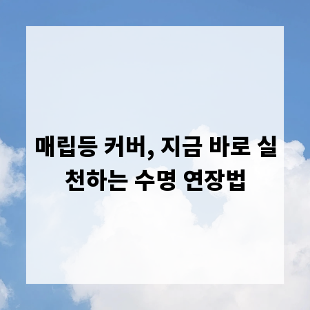 매립등 커버, 지금 바로 실천하는 수명 연장법