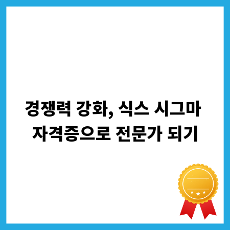 경쟁력 강화, 식스 시그마 자격증으로 전문가 되기