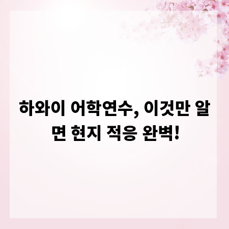 하와이 어학연수, 이것만 알면 현지 적응 완벽!