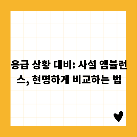 응급 상황 대비: 사설 앰뷸런스, 현명하게 비교하는 법