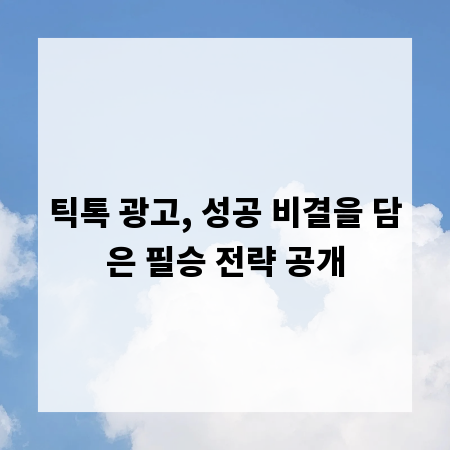 틱톡 광고, 성공 비결을 담은 필승 전략 공개