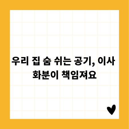 사랑스러운 데이지 공주 굿즈 쇼핑: 피규어부터 캐릭터 상품까지