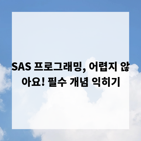 SAS 프로그래밍, 어렵지 않아요! 필수 개념 익히기