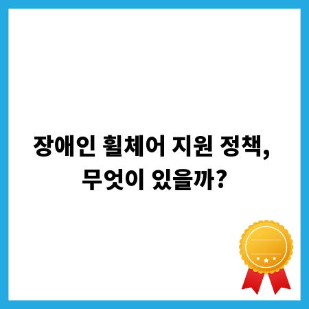 장애인 휠체어 지원 정책, 무엇이 있을까?