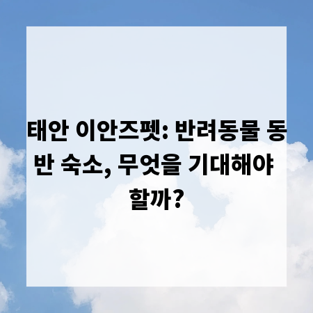 태안 이안즈펫: 반려동물 동반 숙소, 무엇을 기대해야 할까?