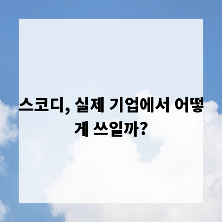 스코디, 실제 기업에서 어떻게 쓰일까?