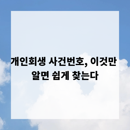 개인회생 사건번호, 이것만 알면 쉽게 찾는다
