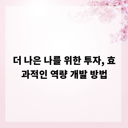 더 나은 나를 위한 투자, 효과적인 역량 개발 방법