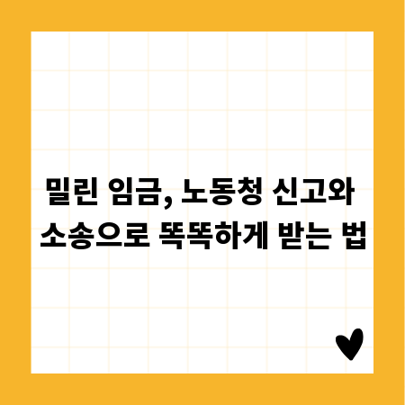 밀린 임금, 노동청 신고와 소송으로 똑똑하게 받는 법