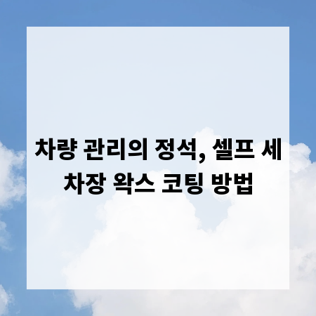차량 관리의 정석, 셀프 세차장 왁스 코팅 방법