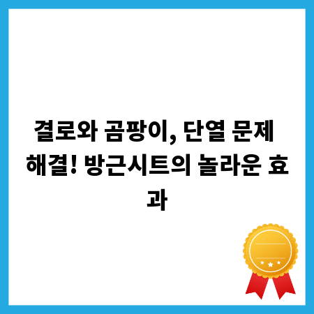 결로와 곰팡이, 단열 문제 해결! 방근시트의 놀라운 효과