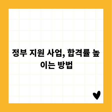 정부 지원 사업, 합격률 높이는 방법