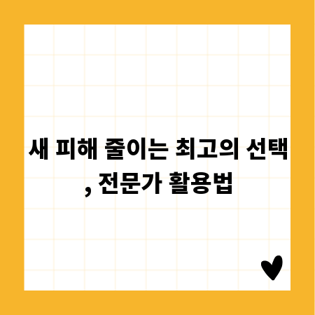 새 피해 줄이는 최고의 선택, 전문가 활용법