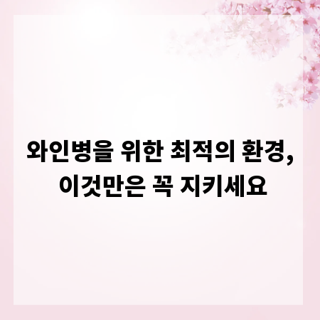 와인병을 위한 최적의 환경, 이것만은 꼭 지키세요