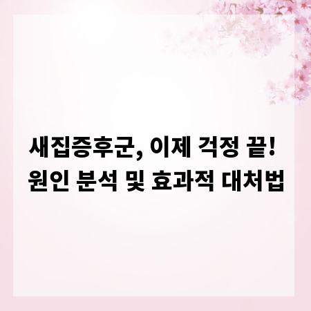 새집증후군, 이제 걱정 끝! 원인 분석 및 효과적 대처법