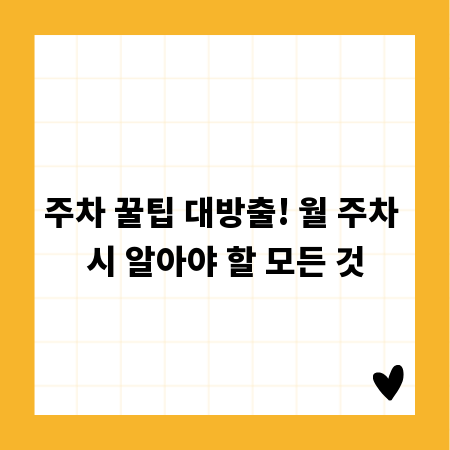 주차 꿀팁 대방출! 월 주차 시 알아야 할 모든 것