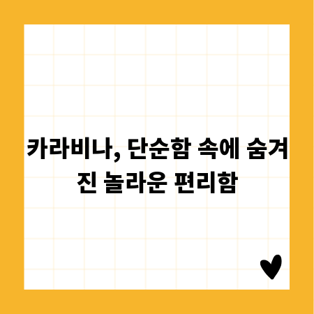 카라비나, 단순함 속에 숨겨진 놀라운 편리함