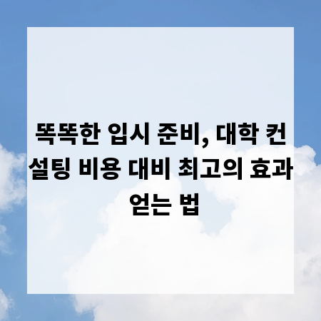 똑똑한 입시 준비, 대학 컨설팅 비용 대비 최고의 효과 얻는 법
