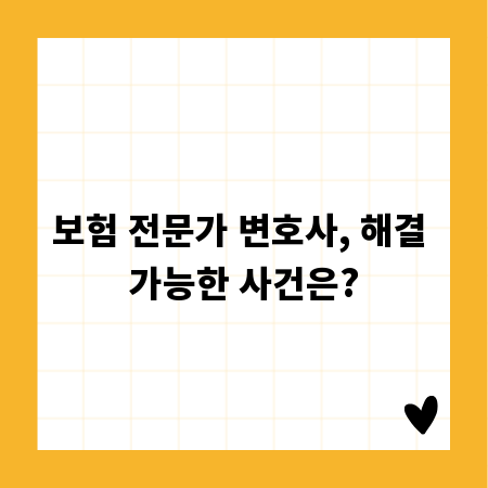 보험 전문가 변호사, 해결 가능한 사건은?