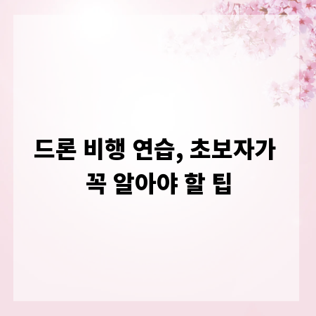 드론 비행 연습, 초보자가 꼭 알아야 할 팁