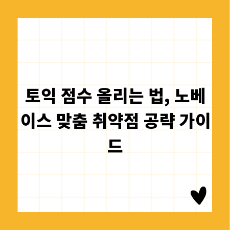 토익 점수 올리는 법, 노베이스 맞춤 취약점 공략 가이드