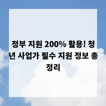 정부 지원 200% 활용! 청년 사업가 필수 지원 정보 총정리