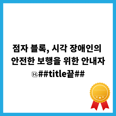 점자 블록, 시각 장애인의 안전한 보행을 위한 안내자
##title끝##