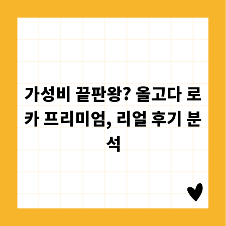 가성비 끝판왕? 올고다 로카 프리미엄, 리얼 후기 분석