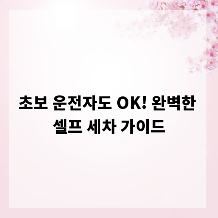 초보 운전자도 OK! 완벽한 셀프 세차 가이드