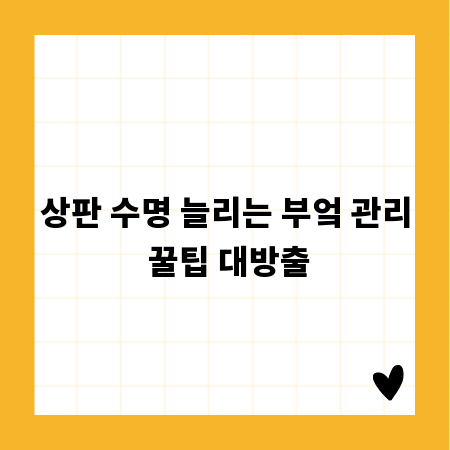 상판 수명 늘리는 부엌 관리 꿀팁 대방출