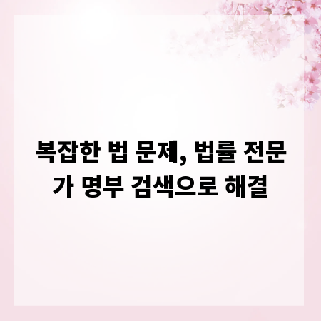 복잡한 법 문제, 법률 전문가 명부 검색으로 해결