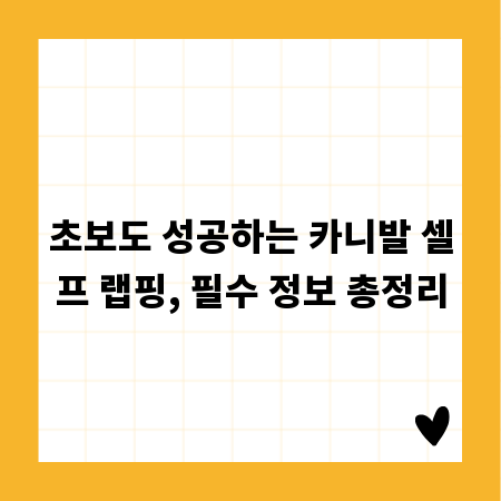 초보도 성공하는 카니발 셀프 랩핑, 필수 정보 총정리