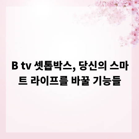 B tv 셋톱박스, 당신의 스마트 라이프를 바꿀 기능들