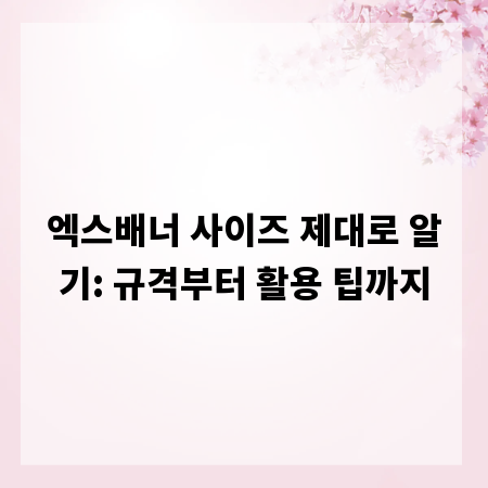 엑스배너 사이즈 제대로 알기: 규격부터 활용 팁까지