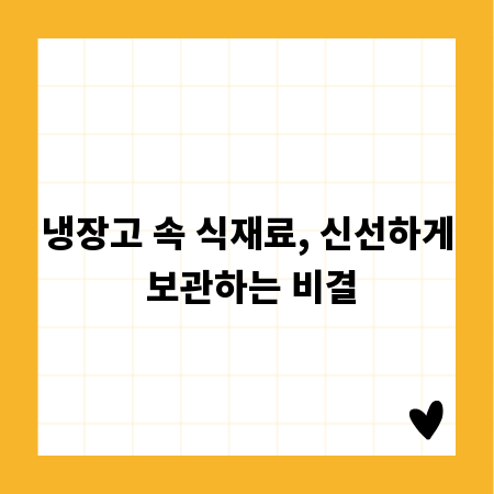 냉장고 속 식재료, 신선하게 보관하는 비결