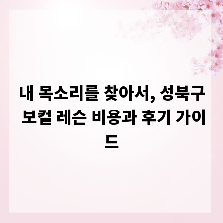 내 목소리를 찾아서, 성북구 보컬 레슨 비용과 후기 가이드
