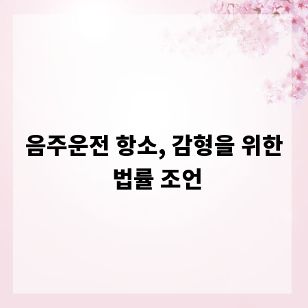 음주운전 항소, 감형을 위한 법률 조언