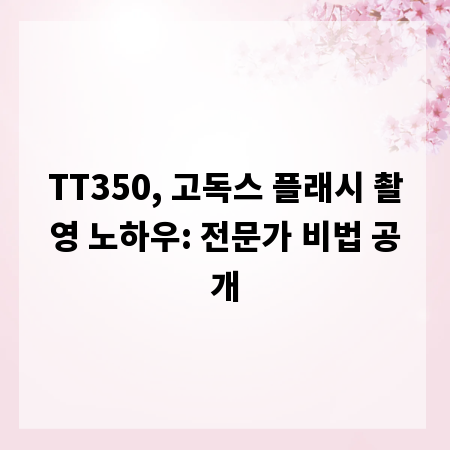 TT350, 고독스 플래시 촬영 노하우: 전문가 비법 공개