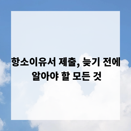 항소이유서 제출, 늦기 전에 알아야 할 모든 것