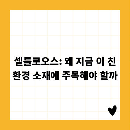 셀룰로오스: 왜 지금 이 친환경 소재에 주목해야 할까