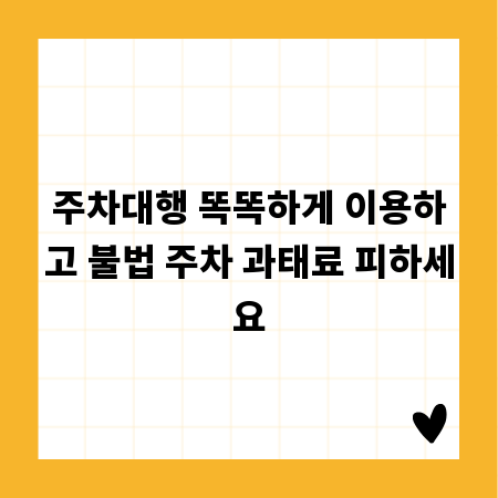 주차대행 똑똑하게 이용하고 불법 주차 과태료 피하세요