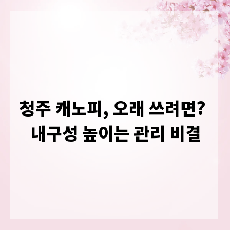 청주 캐노피, 오래 쓰려면? 내구성 높이는 관리 비결
