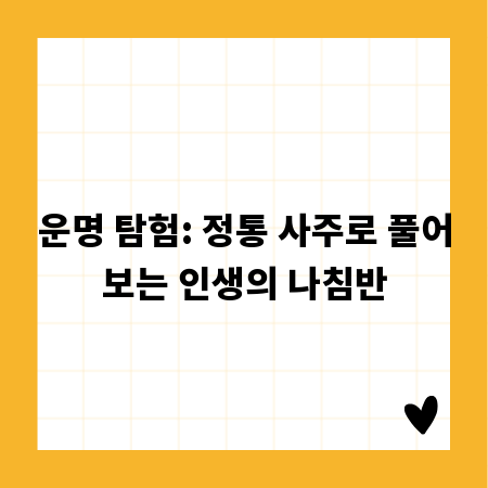 운명 탐험: 정통 사주로 풀어보는 인생의 나침반