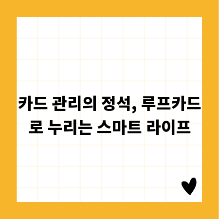 카드 관리의 정석, 루프카드로 누리는 스마트 라이프