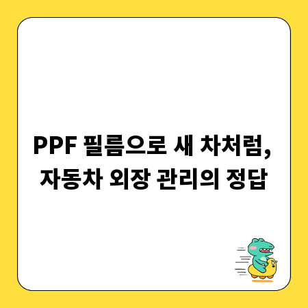 PPF 필름으로 새 차처럼, 자동차 외장 관리의 정답