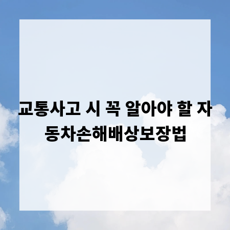 교통사고 시 꼭 알아야 할 자동차손해배상보장법