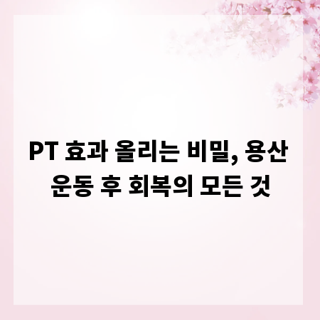 PT 효과 올리는 비밀, 용산 운동 후 회복의 모든 것
