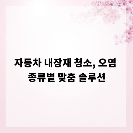 자동차 내장재 청소, 오염 종류별 맞춤 솔루션